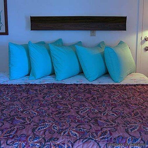 Rainbow Motel Хастингс Экстерьер фото